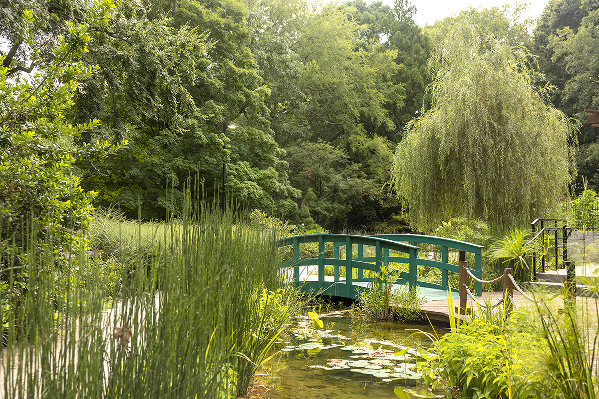 Athens Botanical