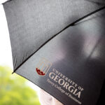 Black umbrella