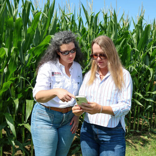 UGA Student Industry Fellow Bradley Smith, right, speaks with Lauren Lazaro, assistant professor and UGA Extension precision agriculture specialist, in front of a field of corn.