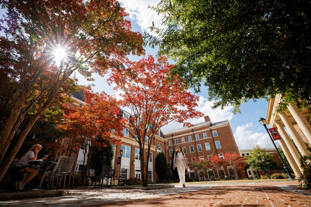 Student walk through a courtyard flanked by fall leaves at the Terry BLC.