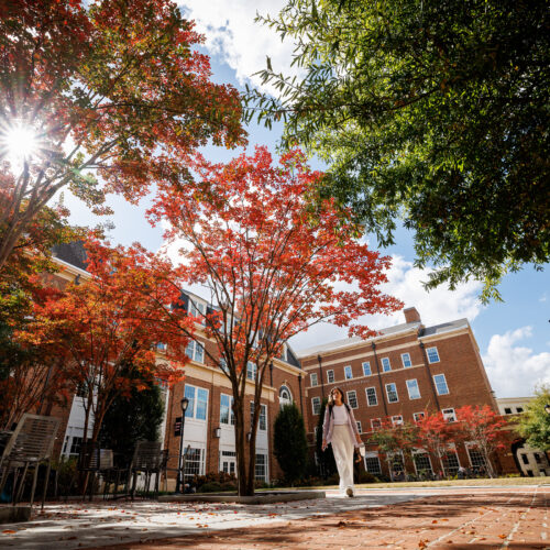 Student walk through a courtyard flanked by fall leaves at the Terry BLC.