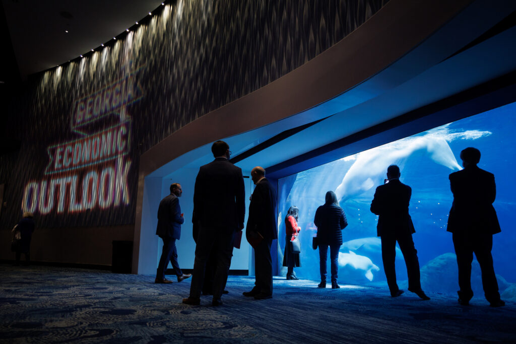 Georgia Economic Outlook attendees watch the Beluga whales from The Georgia Aquarium's Oceans Ballroom before the beginning of the 2024 Georgia Economic Outlook.