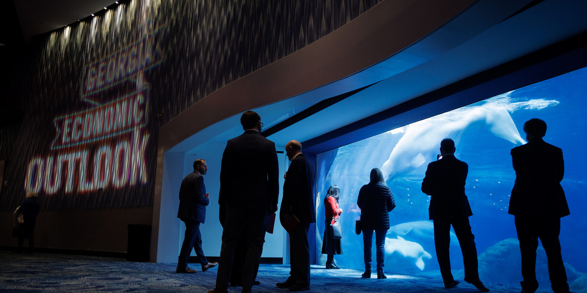 Georgia Economic Outlook attendees watch the Beluga whales from The Georgia Aquarium's Oceans Ballroom before the beginning of the 2024 Georgia Economic Outlook.