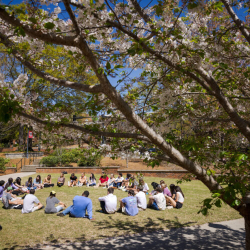Students sit in circle on a lawn during an outdoor class at the University of Georgia.