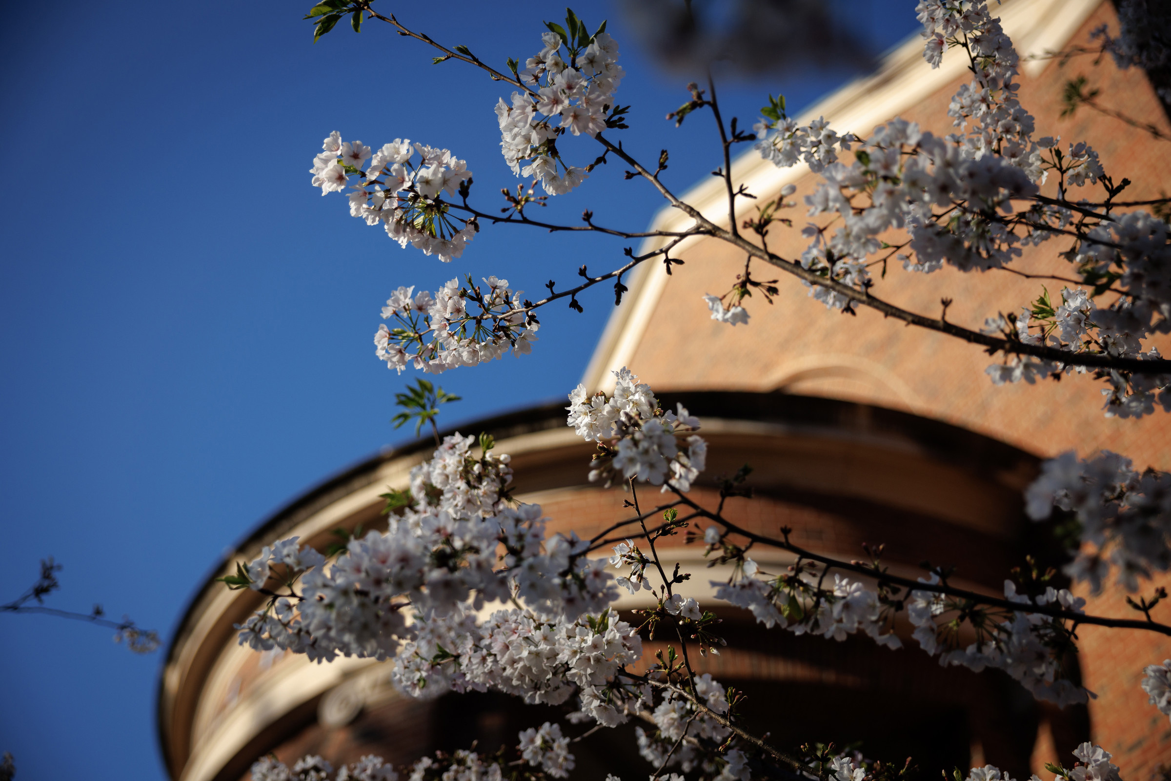 FullTime MBA Admissions Events FullTime MBA Terry College of