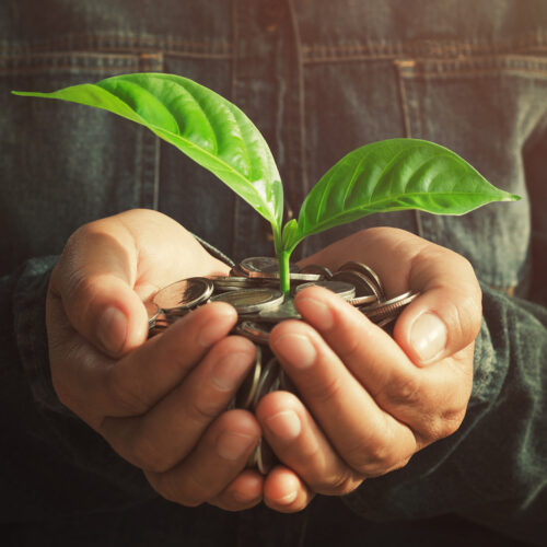 Hands holding a plant growing out of a handful of coins.