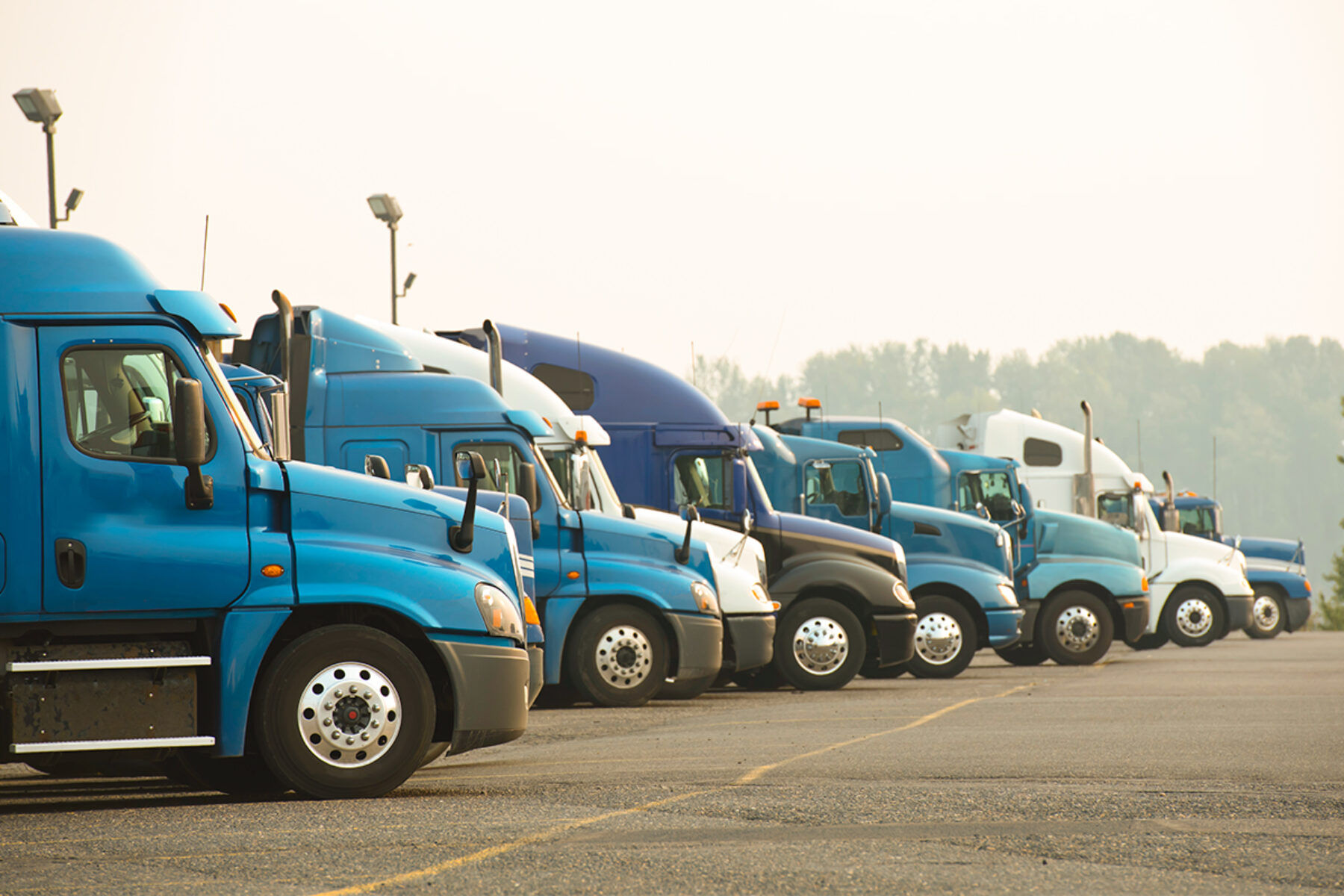 Trucks in parking lot