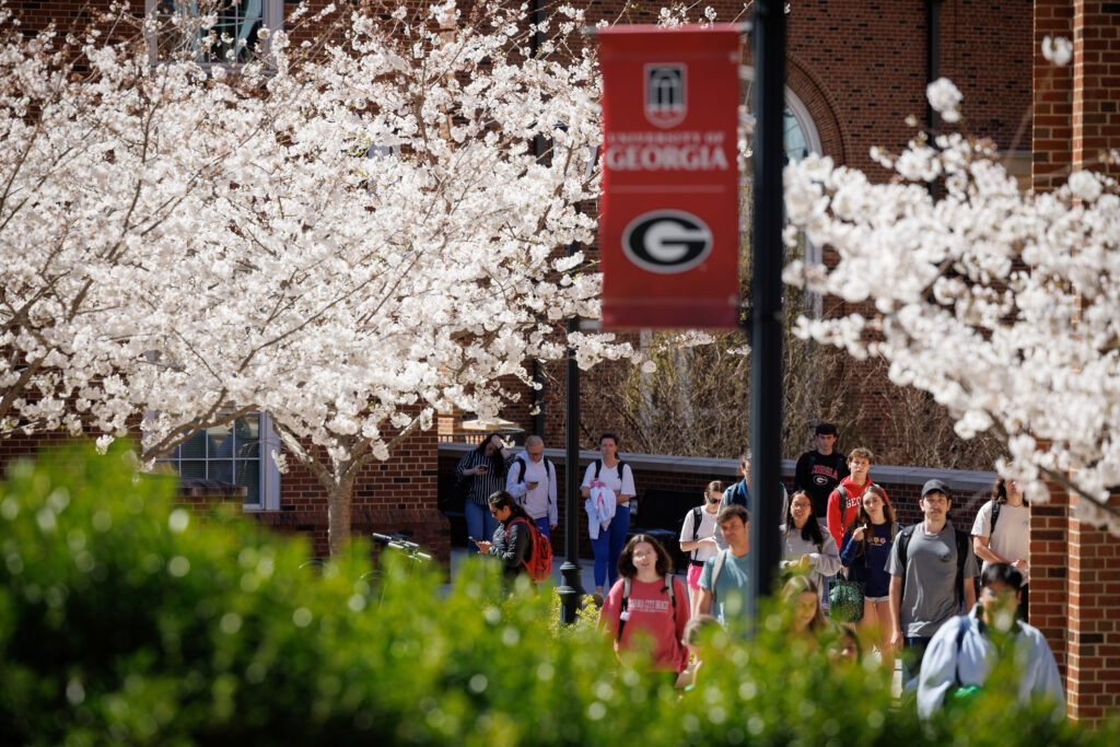 students walking on breezeway next to blooming cherry blossom trees