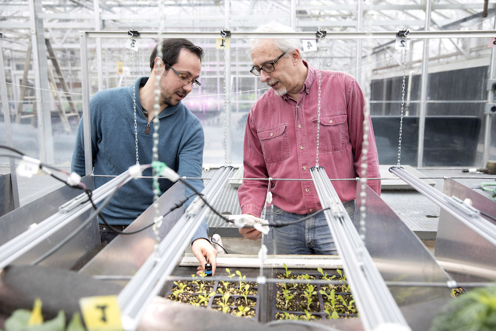 UGA College of Agricultural and Environmental Sciences Department of Horticulture's professor Marc van Iersel