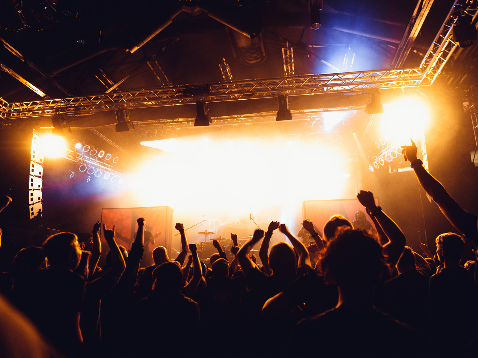 a crowd at rock concert