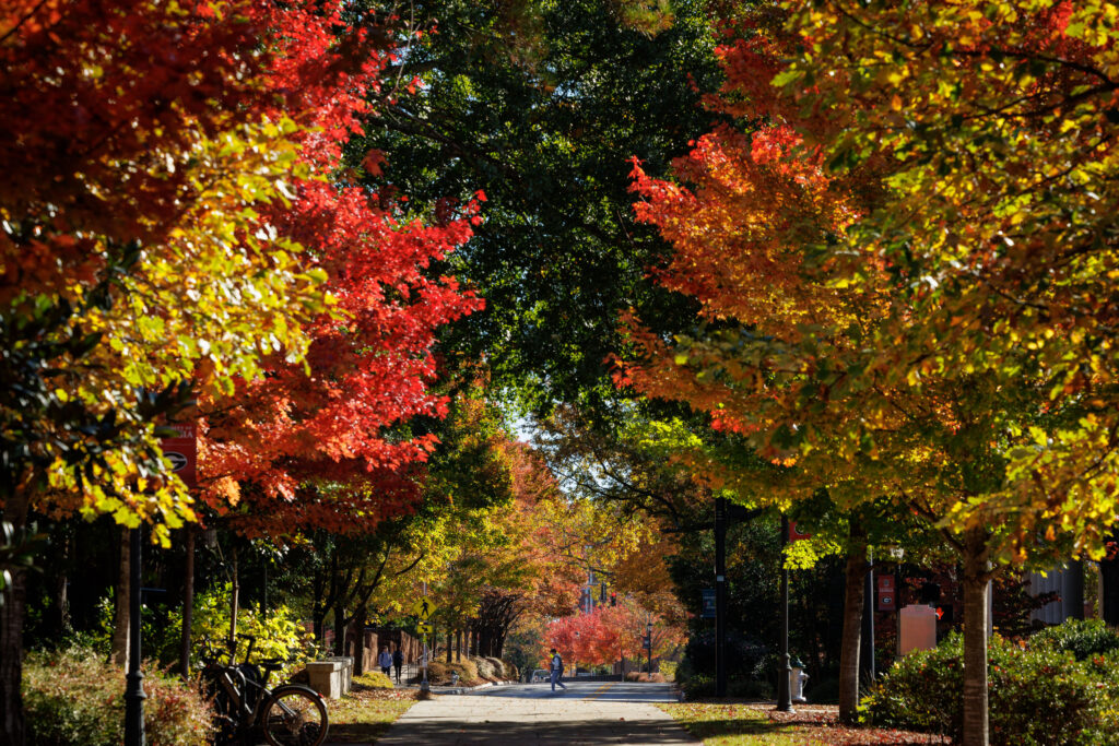 trees with fall colored leaves along walkway