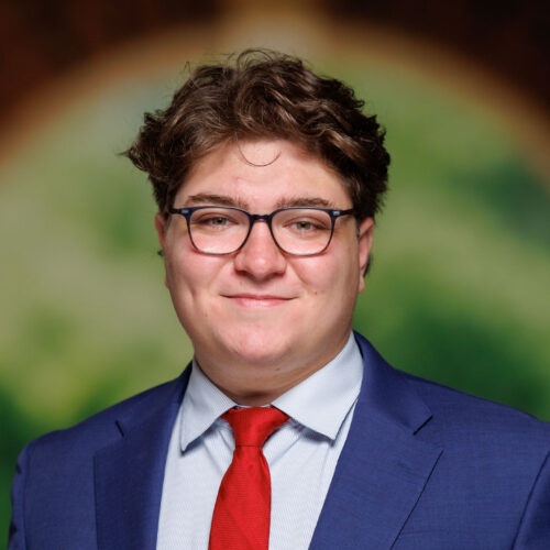 Deniz Ilksoy headshot