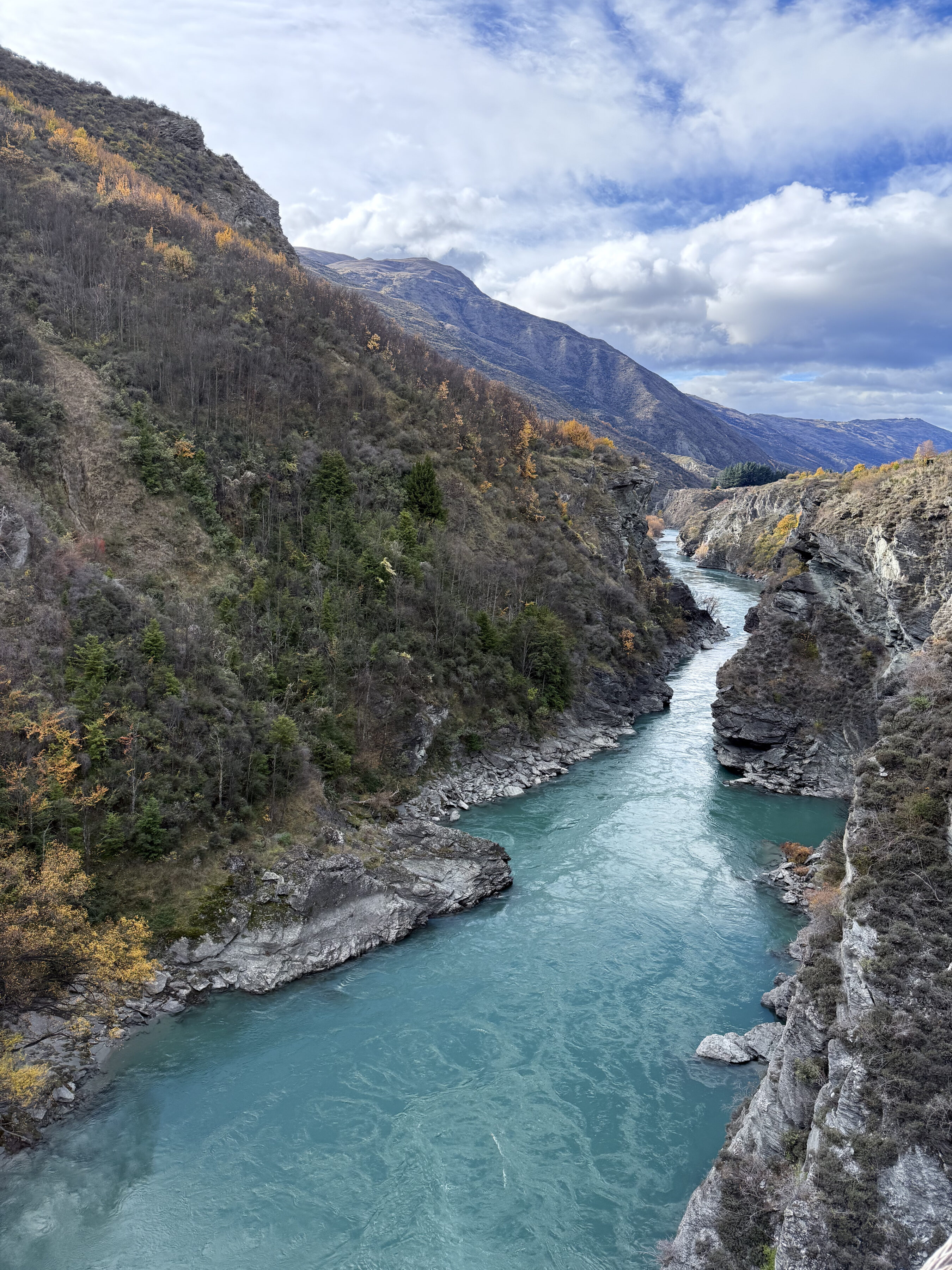 A river runs through a valley with mountains in the background.