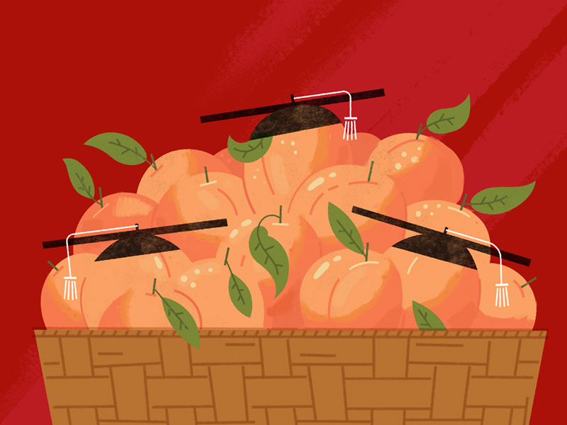 Peaches graphic