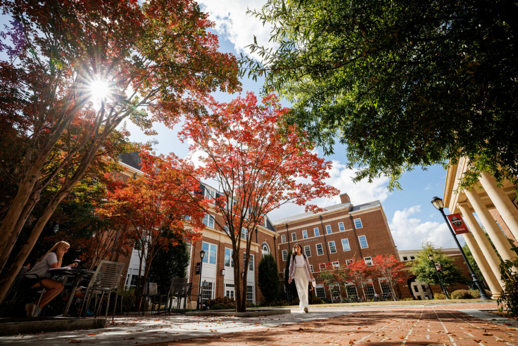 Tree with red leaves in front of the BLC