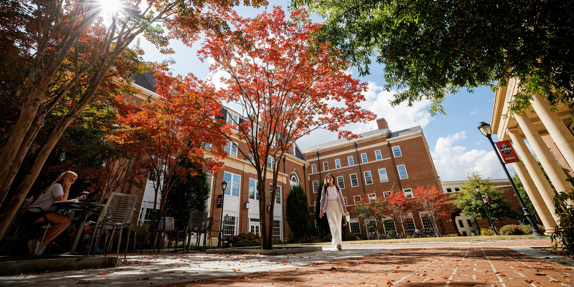Tree with red leaves in front of the BLC