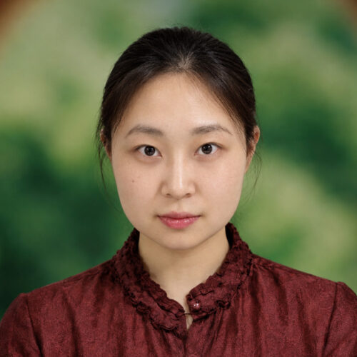 Yihan Wang headshot